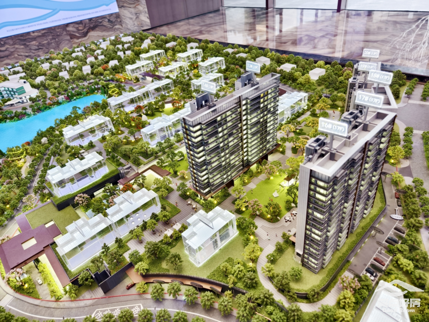 观樾首图.png 观樾首图.png