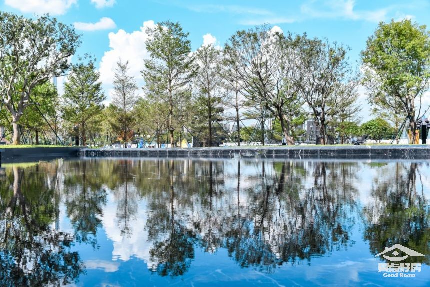 上都绿植.jpeg 上都绿植.jpeg