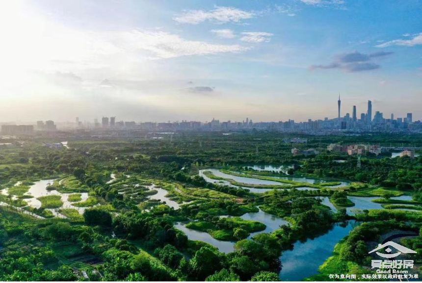 珠光绿化.jpeg 珠光绿化.jpeg