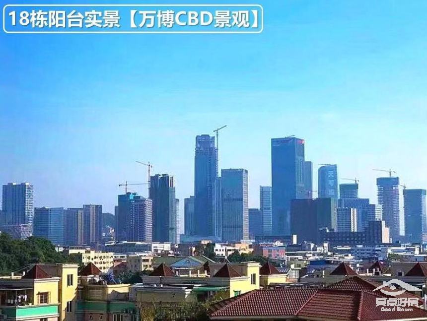 花园图一.jpeg 花园图一.jpeg