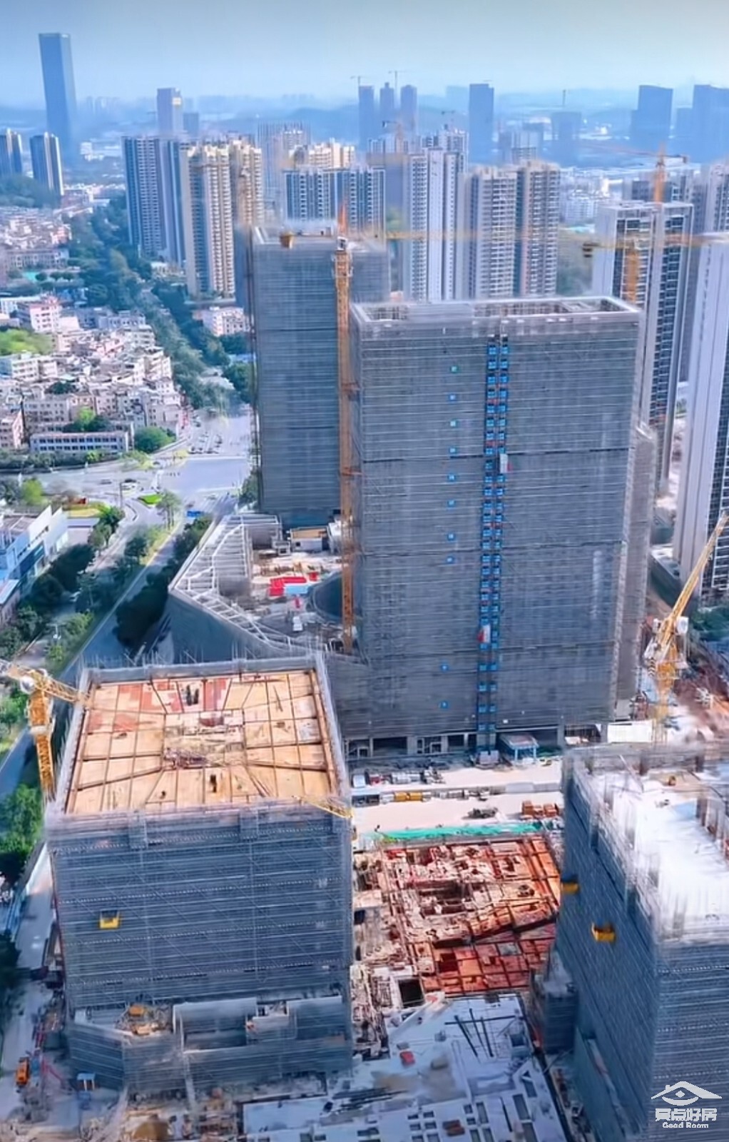 黄埔1.jpg 黄埔1.jpg