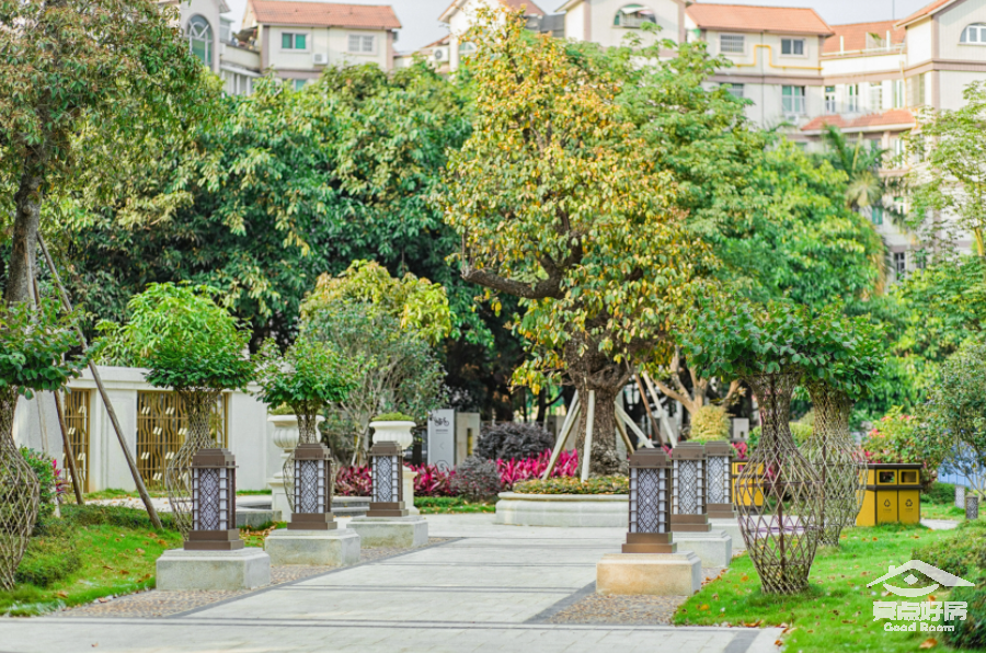 广地最后一张..png 广地最后一张..png