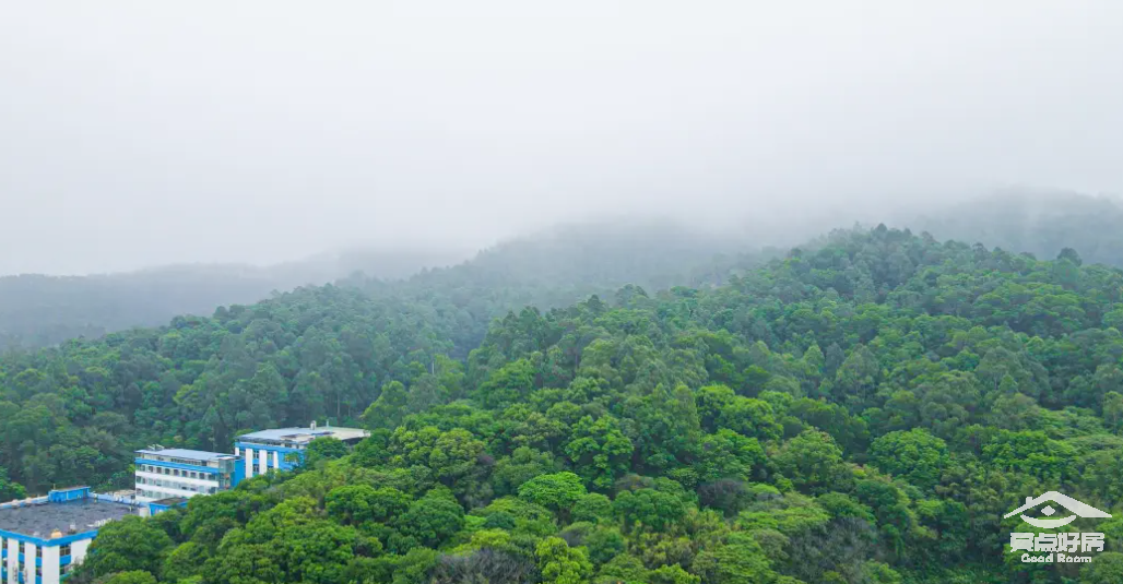 云庐生态.png 云庐生态.png