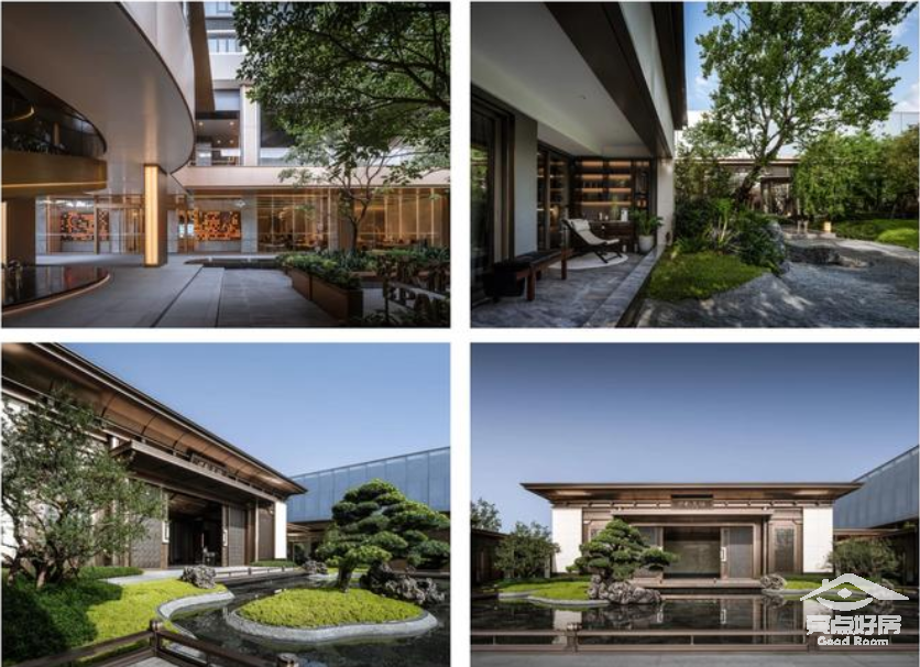 天瑞图一.png 天瑞图一.png